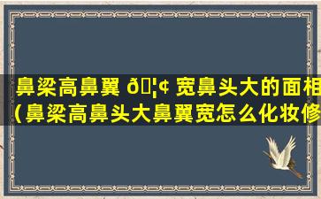 鼻梁高鼻翼 🦢 宽鼻头大的面相（鼻梁高鼻头大鼻翼宽怎么化妆修饰）